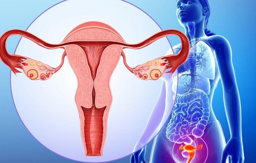 黄体破裂一听就知道是什么,黄体破裂一般都是怎么发现的