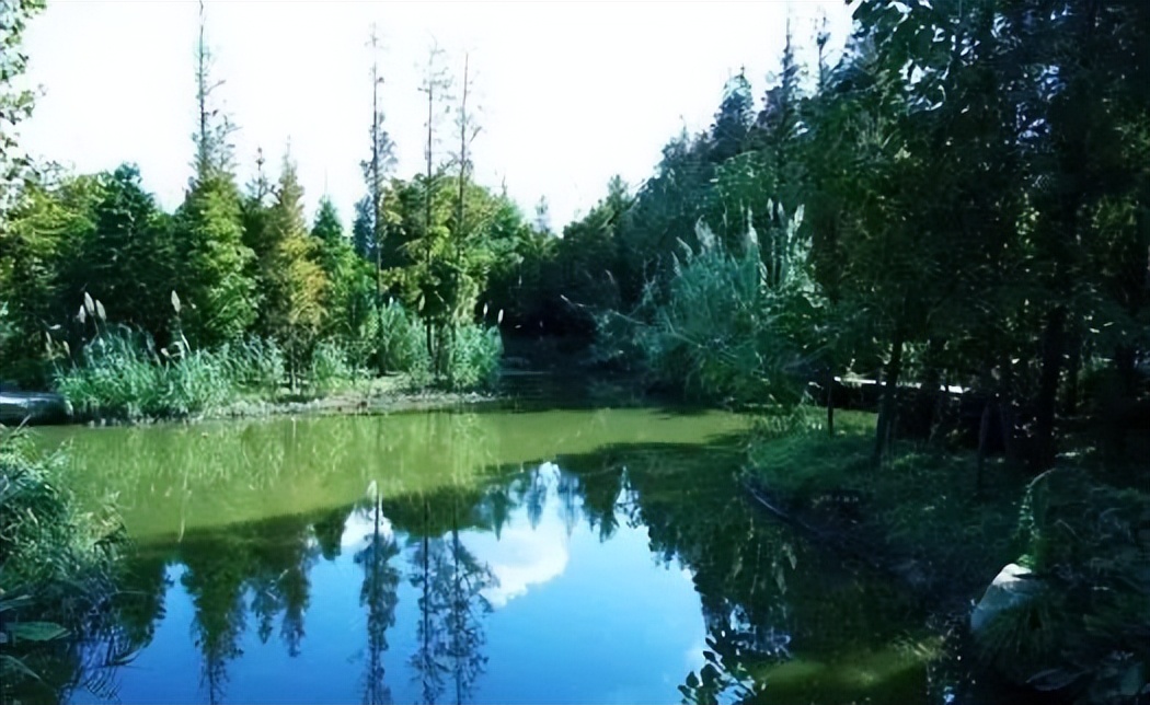 金城著名地方,金城历史由来