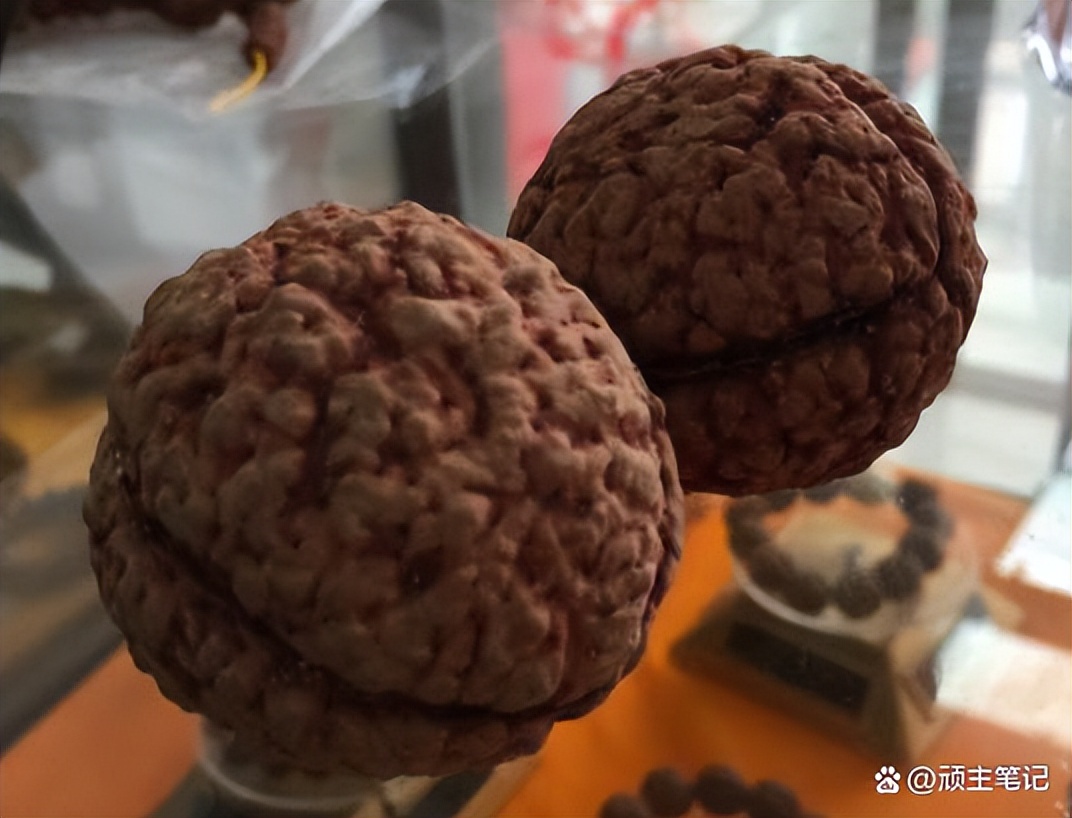 怎么区分落地红和金刚的区别,落地红和金刚的对比照片