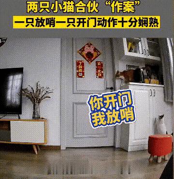 伴娘抢了新娘风头躲角落,伴娘躲在角落玩手机很漂亮