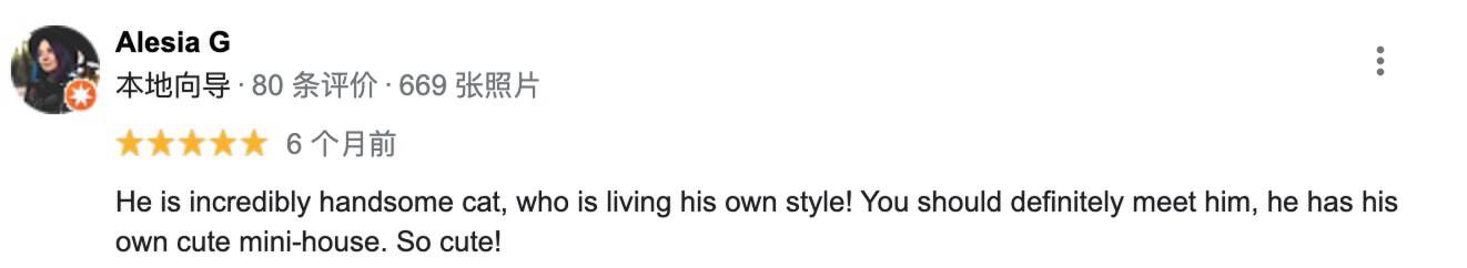 一只流浪的肥猫,波兰一流浪猫成5星旅游景点