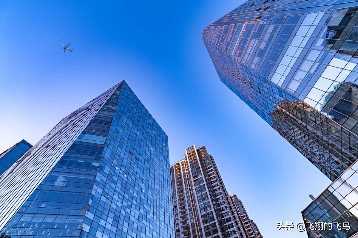 网文作者扑街作者的日常,写小说的扑街作者