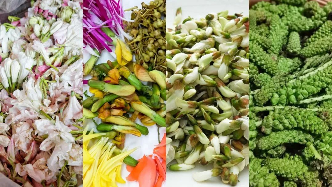 当一个南方人在北方吃西瓜,当一个南方人在北方点一个菜