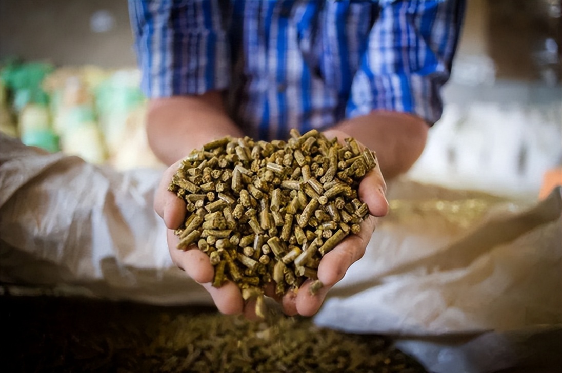 苜蓿经营模式:合作社+土地托管;董明珠:预制菜装备迎来新机会