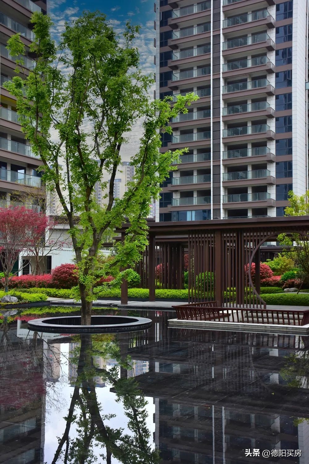 连续两年登顶,连续两年登顶老爷山