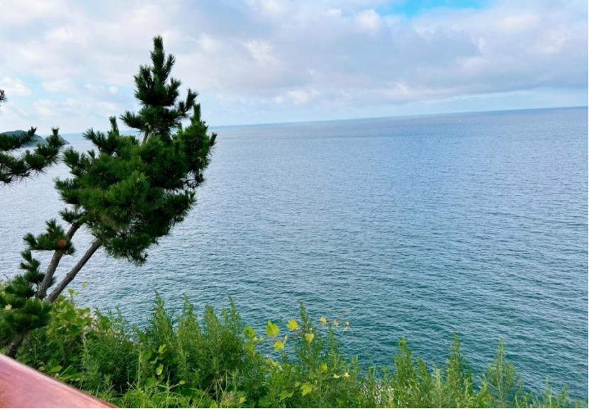 去威海玩完的感受,去威海旅游怎么说比较好