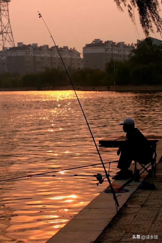 读乡馆,读故乡的感悟20字