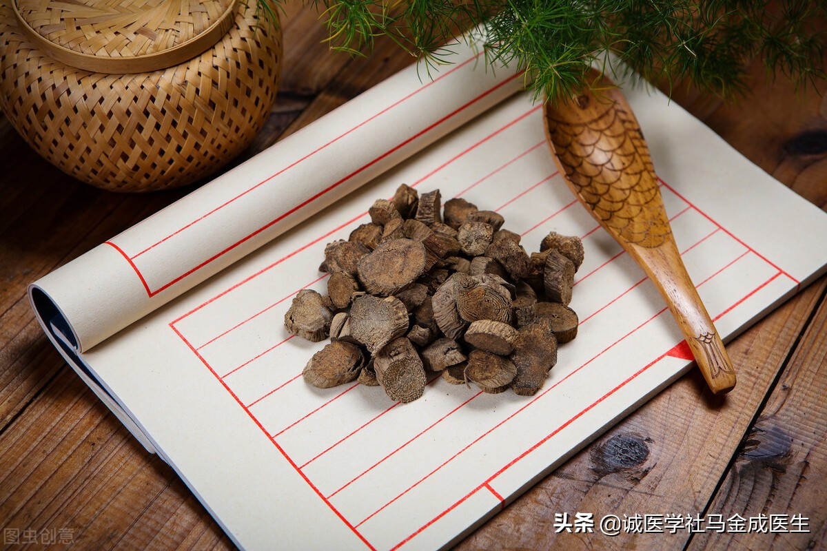 健脾祛湿七味药,健脾清热除湿气最好的方法