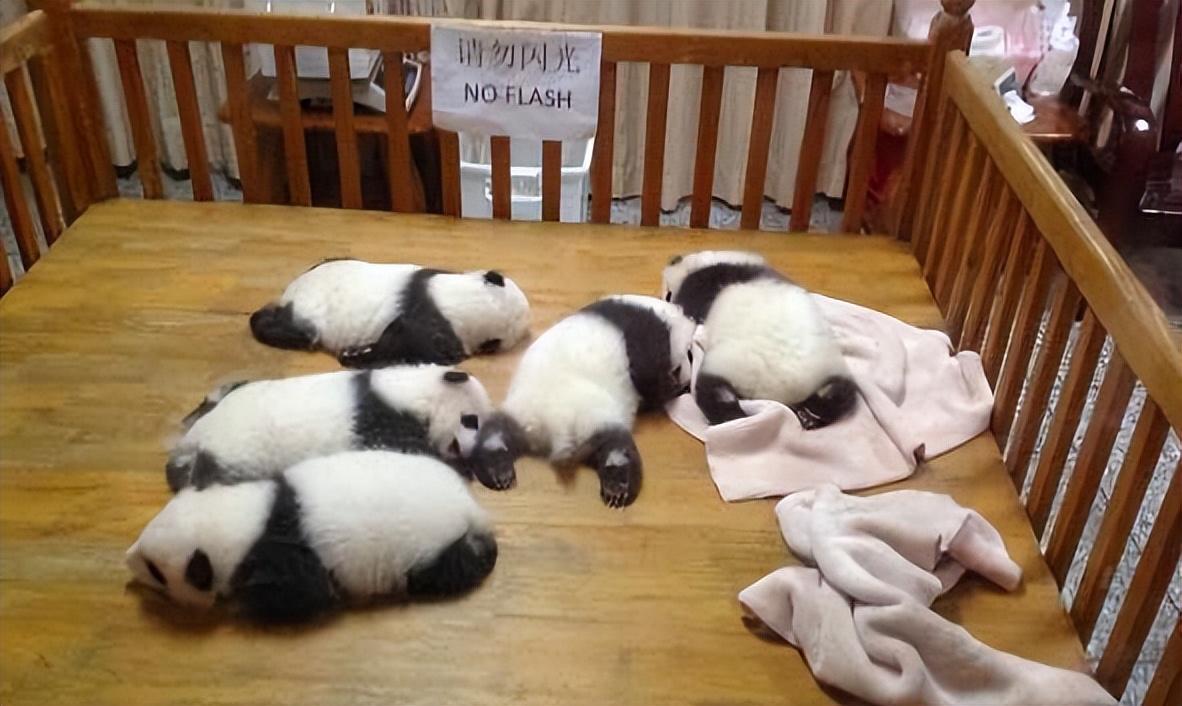 成都到青岛自驾游住宿攻略,成都旅游住宿攻略及费用