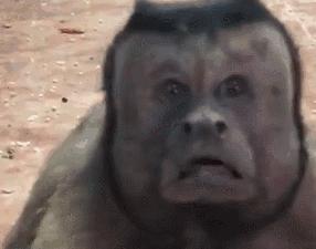 各种官方的神评论,各个大神的神评