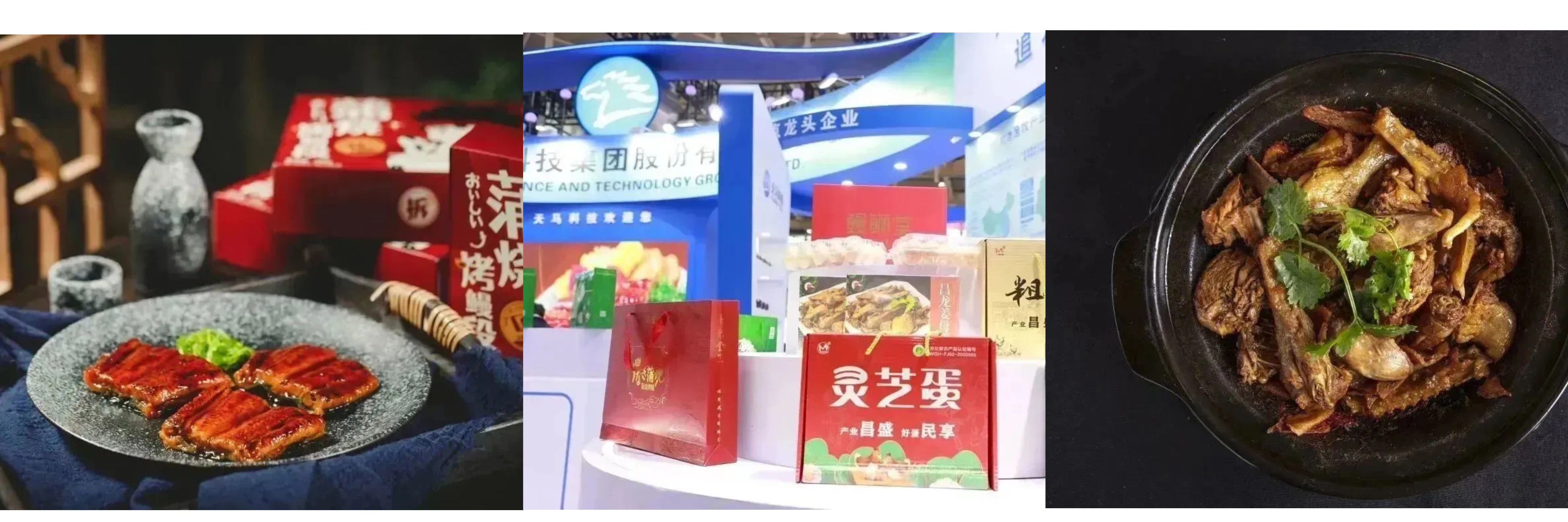 福建天马科技集团一年营收,福建天马科技集团最新消息