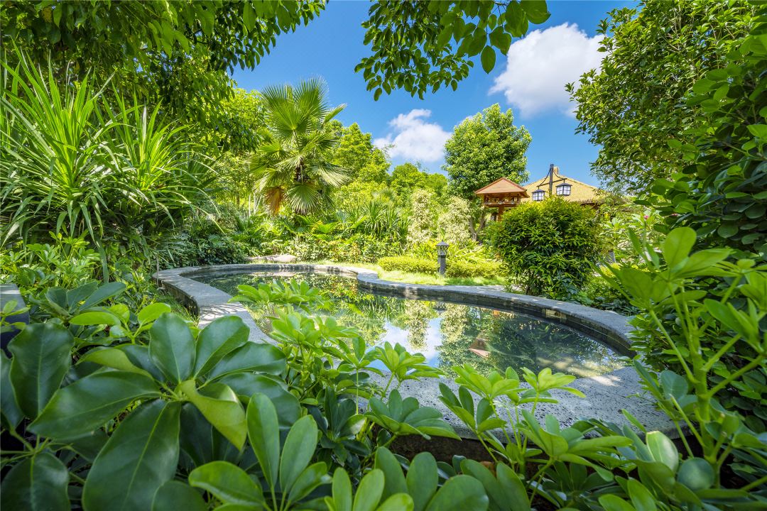 广东最值得推荐的温泉度假村,广东第一峰温泉是真温泉