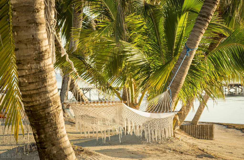 你不知道的国家冷知识伯利兹篇,伯利兹国家为什么那么小