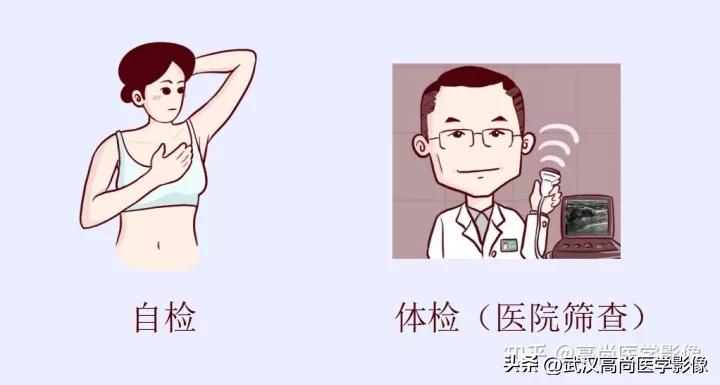 胸痛有硬块是肿瘤吗,胸部结节疼痛是乳腺癌吗