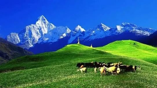 阿坝藏族自治州净土,净土阿坝是什么样子