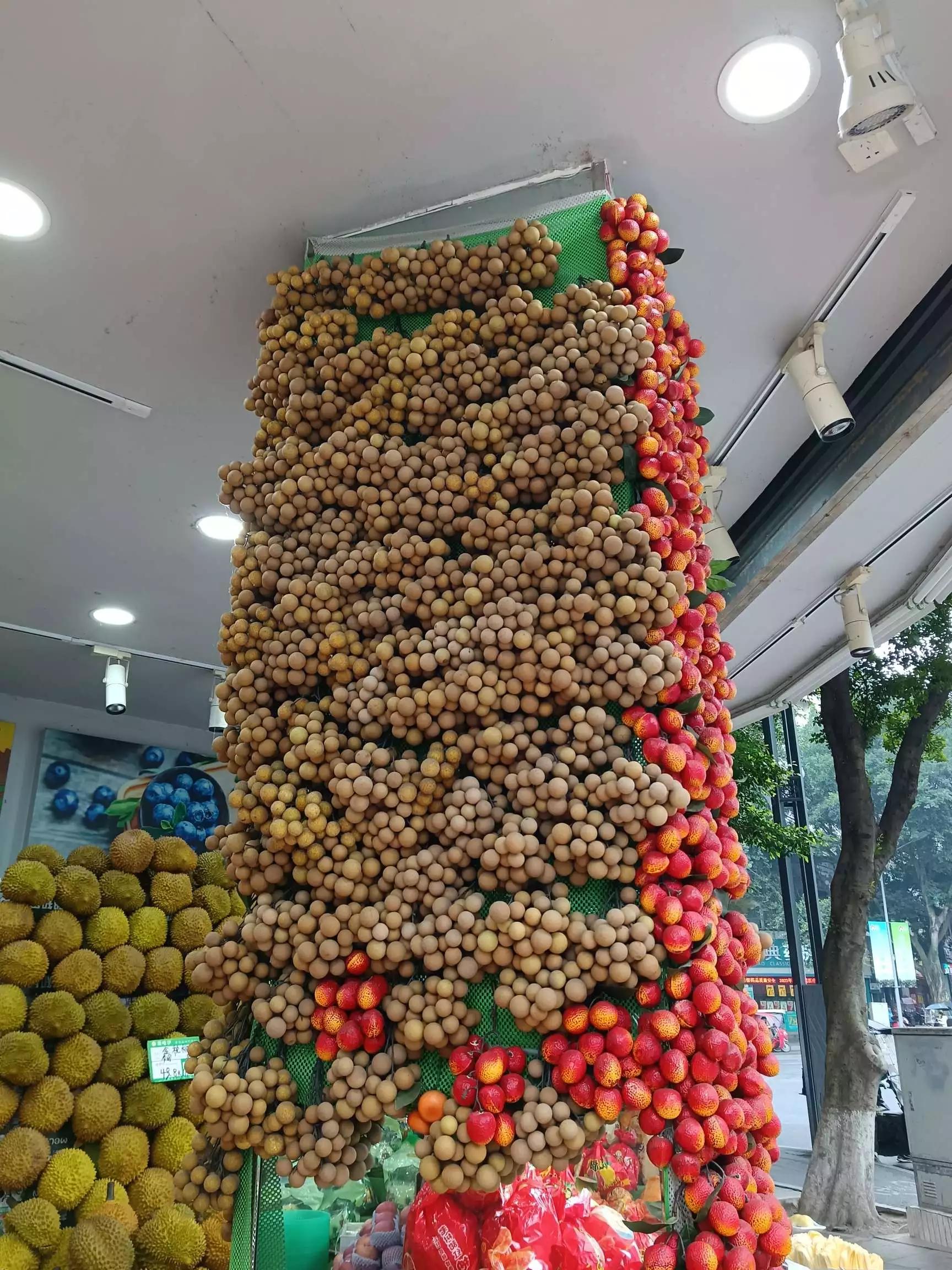 认识各种花卉名称,认识各种花的名字