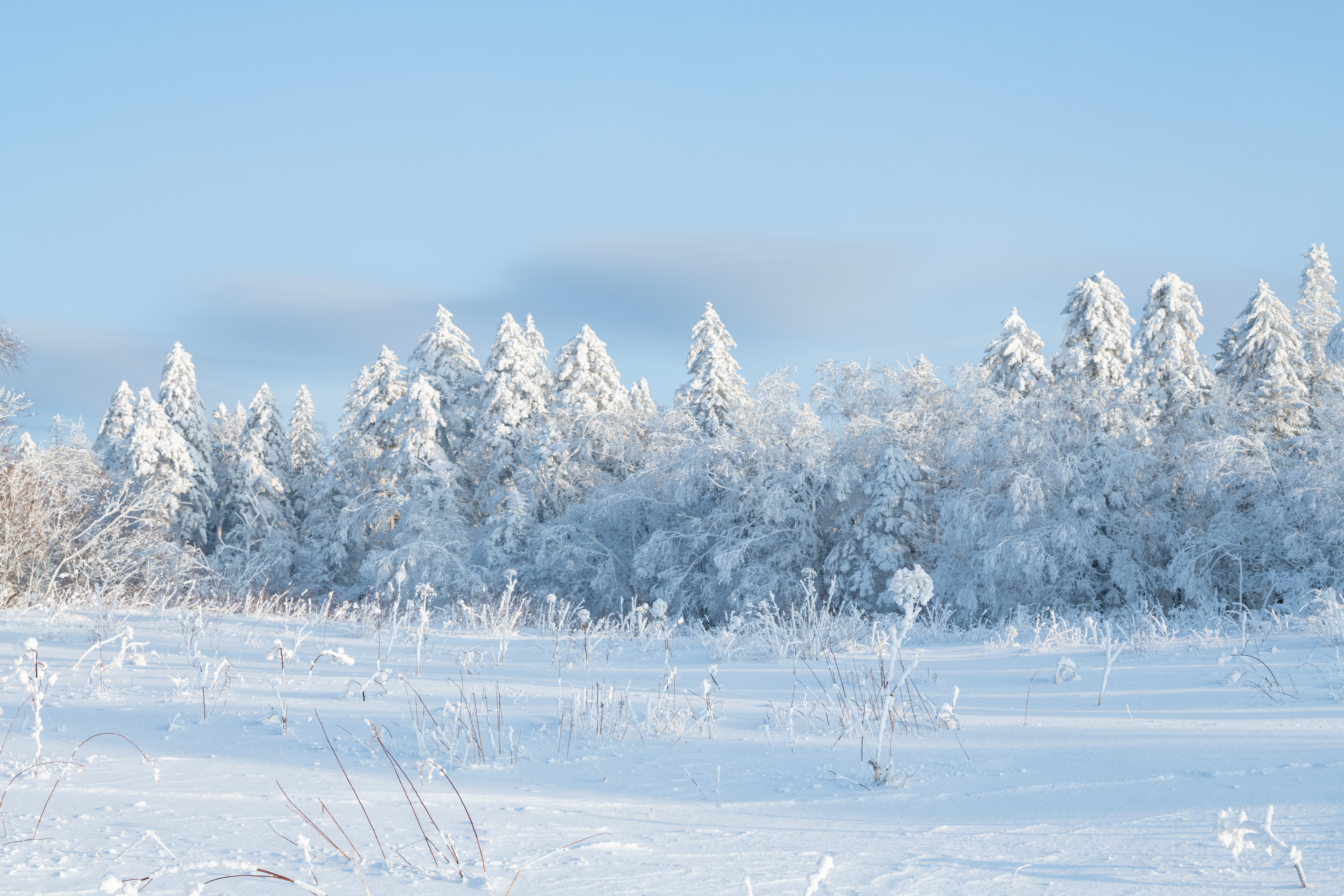 长白山三天旅游攻略10月有雪吗,长白山3天2夜攻略国庆