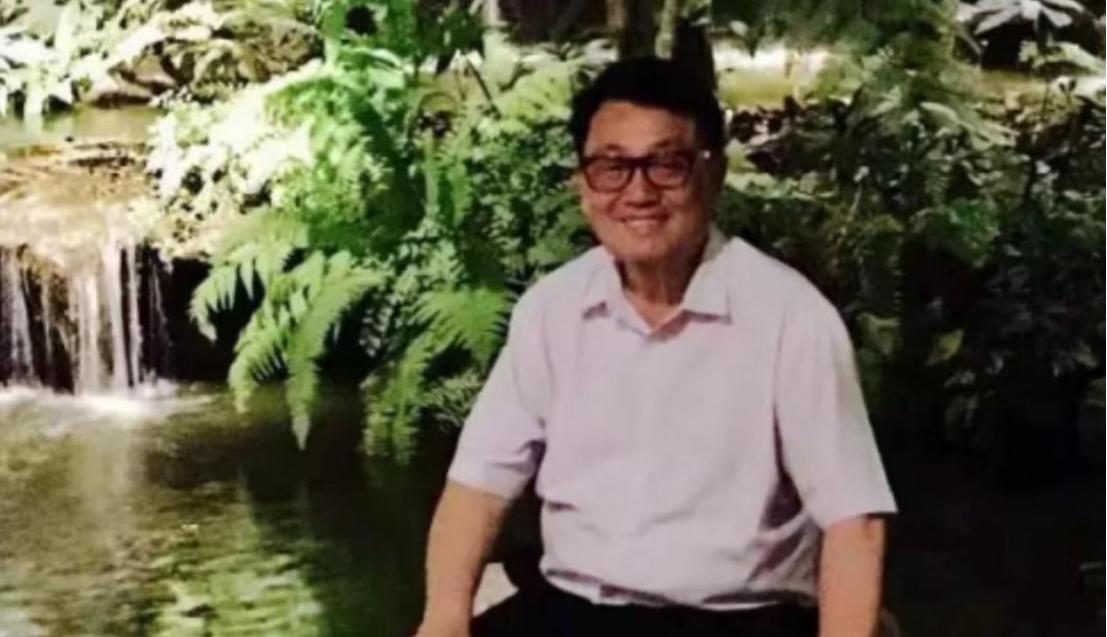 阿诗玛杨丽坤的两个儿子近况,杨丽坤阿诗玛双胞胎近况