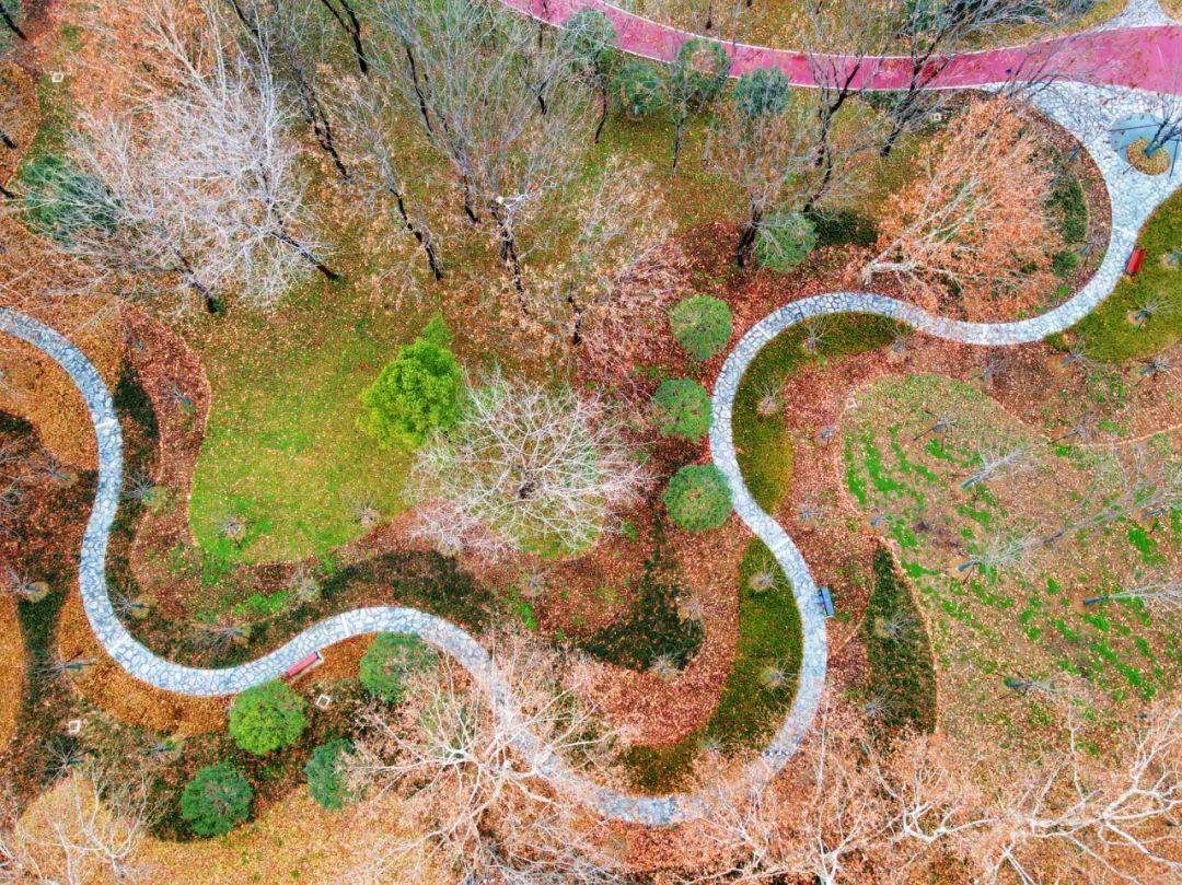 武汉市新城区最大公园,武汉鸳鸯锅