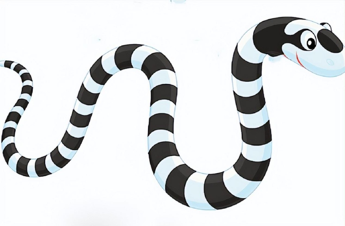 湖北十堰最近发现的蛇,湖北十堰白头蝰