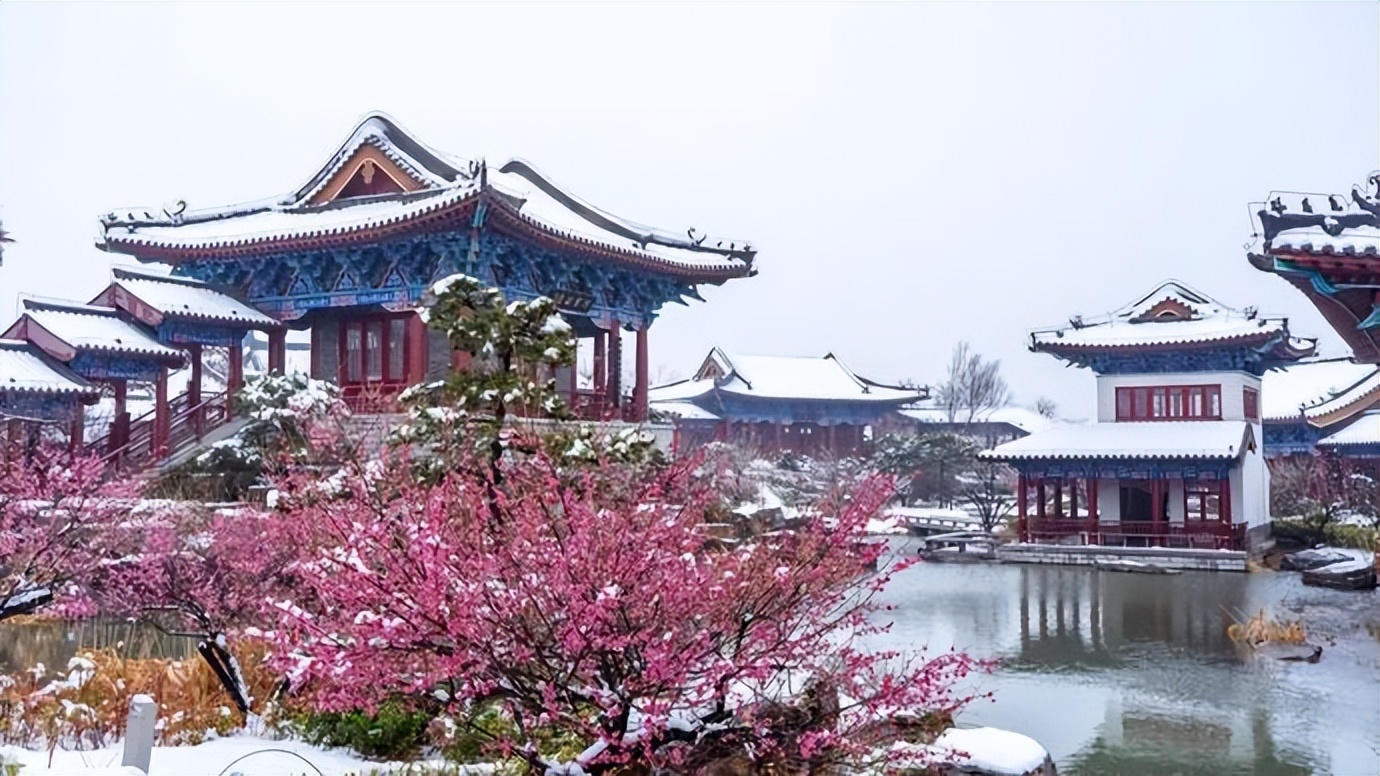 郑州市活动,郑州首届文化艺术节