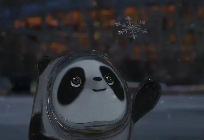 二月月拍|这是属于每个时代的顶流