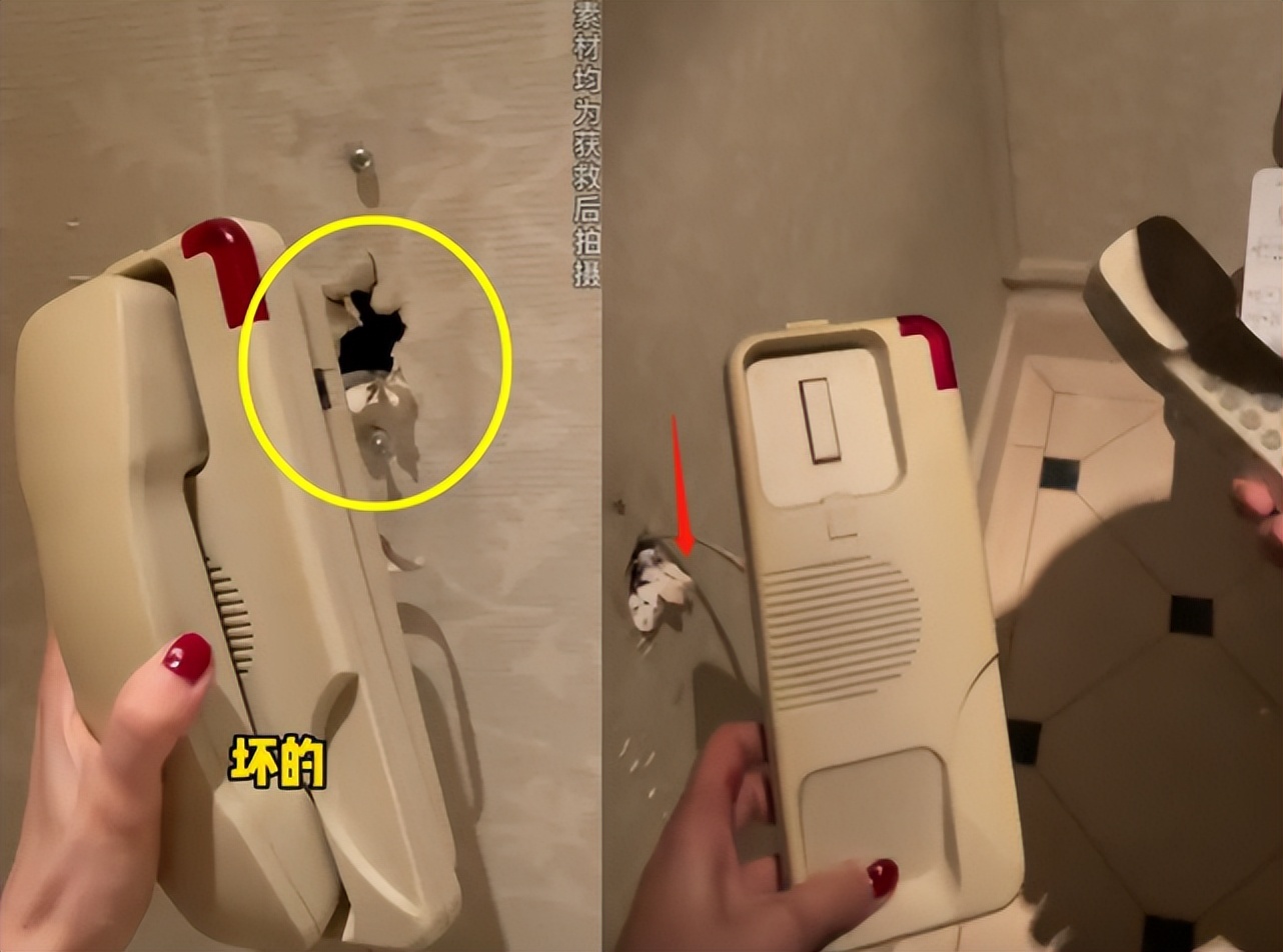 成龙女徒弟全部视频,成龙女徒弟被困酒店后续