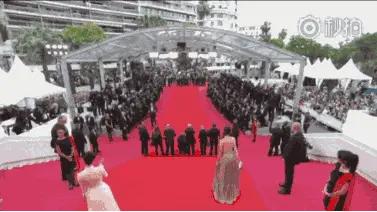 明星红毯假摔事件,明星红毯假摔倒抢镜