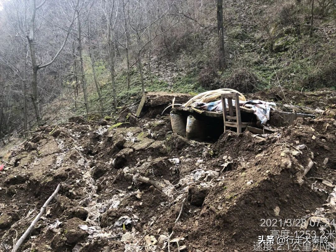 首阳山穿越大坪梁景色怎么样,大坪梁穿越到首阳山攻略