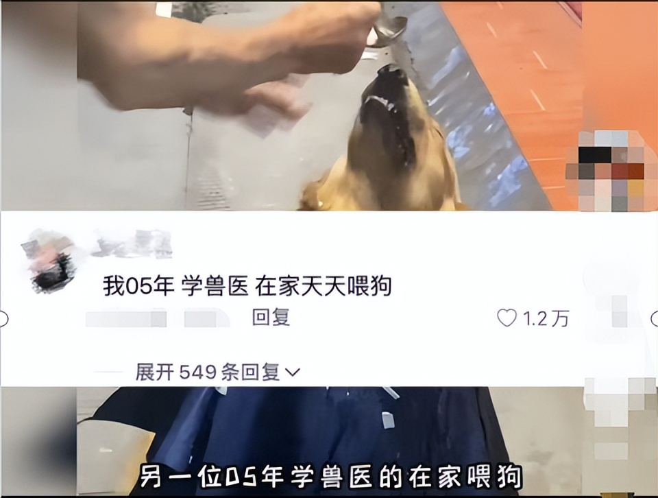 大学生就业专业对口的多吗,大学就业选择专业对口
