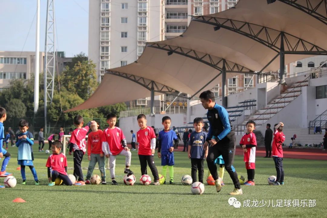 教练都需要哪些证,教练需要必备什么能力