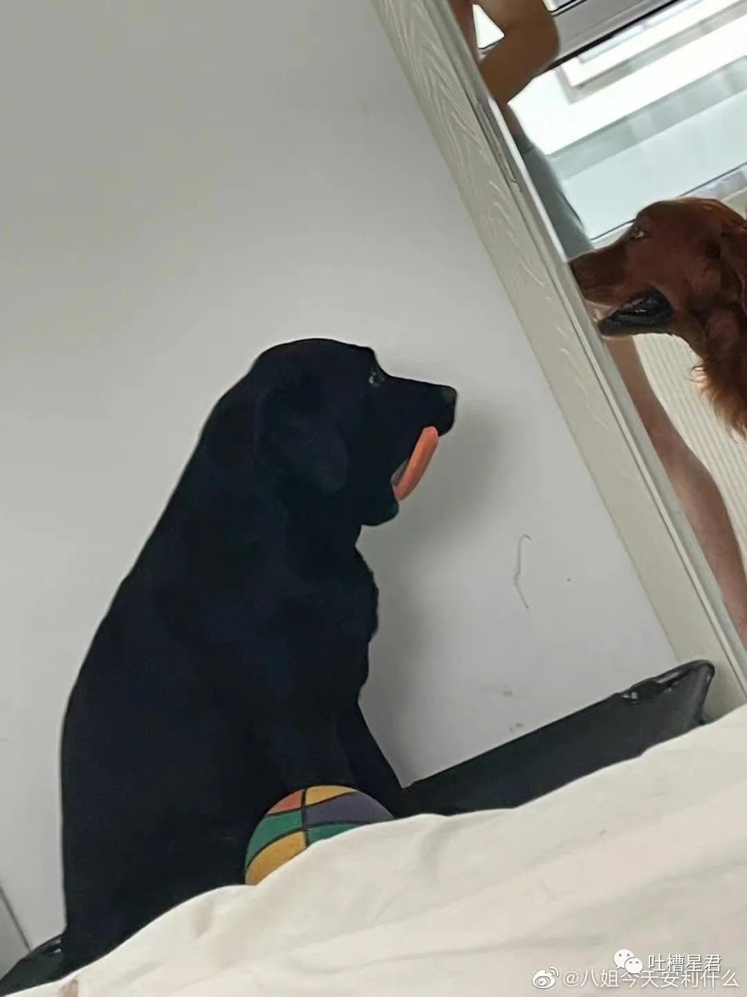 “男友花4200买Prada绿帽子？”网友笑疯：爷可以免费给别人戴