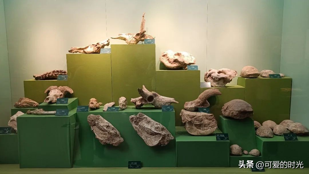 总要来趟兰州吧,这辈子总要去趟兰州