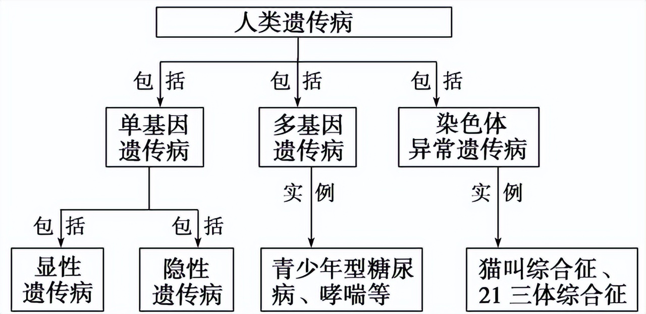 高中生物变异和育种知识点,高中生物变异育种进化思维导图