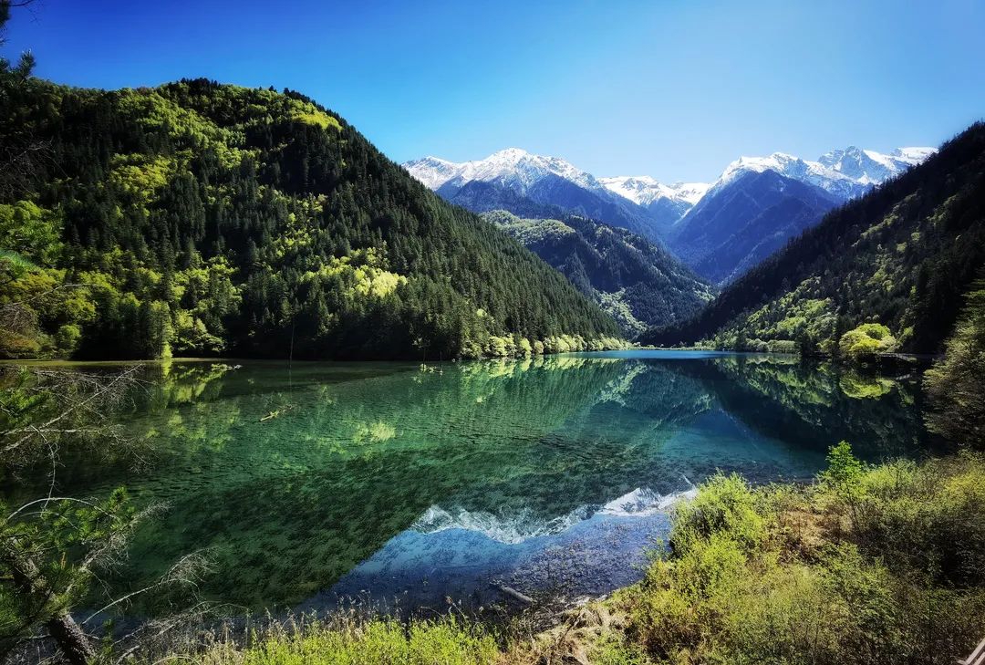 九寨沟震撼现场,最新九寨沟美景