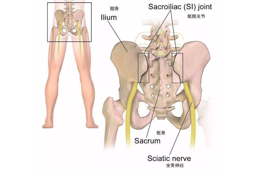 50岁身体一直没什么问题,50岁后腿脚没力