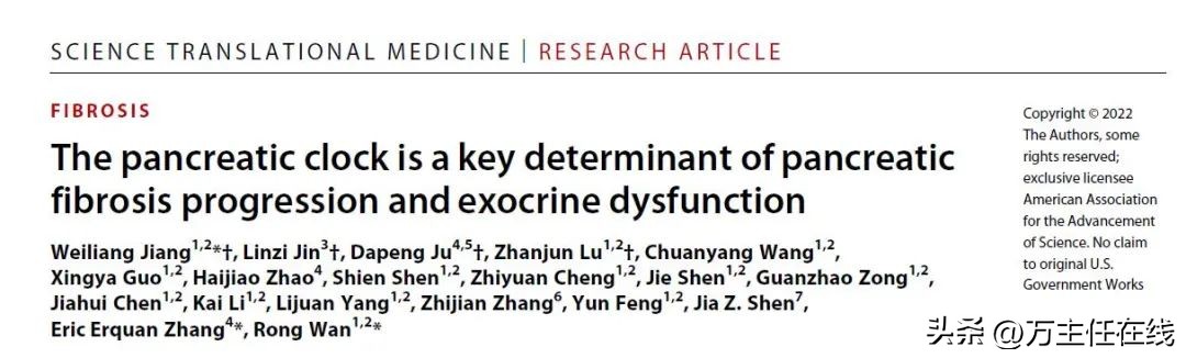万荣/张二荃/蒋巍亮团队揭示胰腺生物钟病理及转化新机制