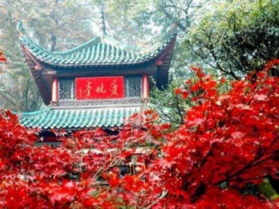 长沙手绘板攻略,长沙旅游手绘攻略