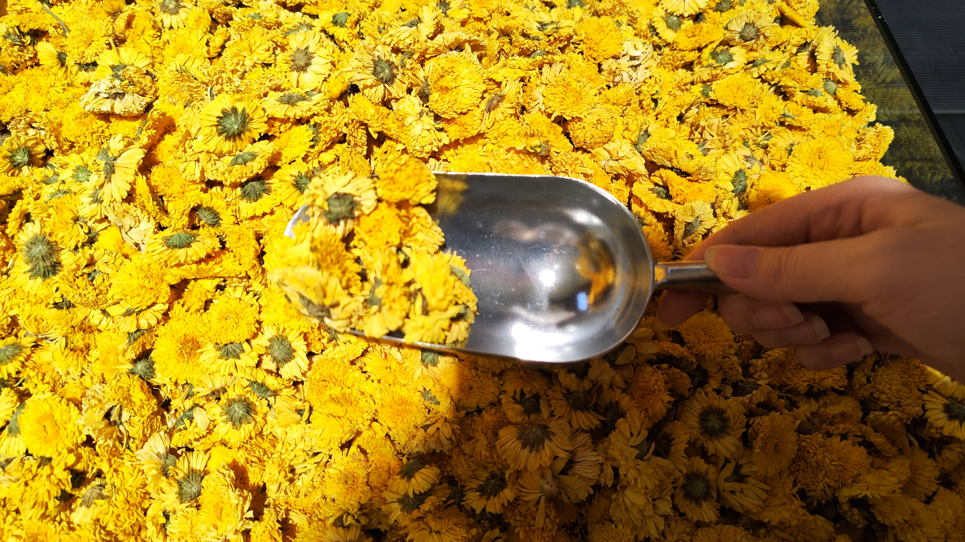 夏日清凉好物全球推荐,夏天必备十大好物推荐