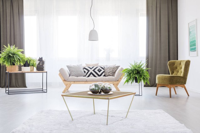 八六年属虎的开饭店摆什么花旺财,86年属虎人的2022全年戴什么旺财