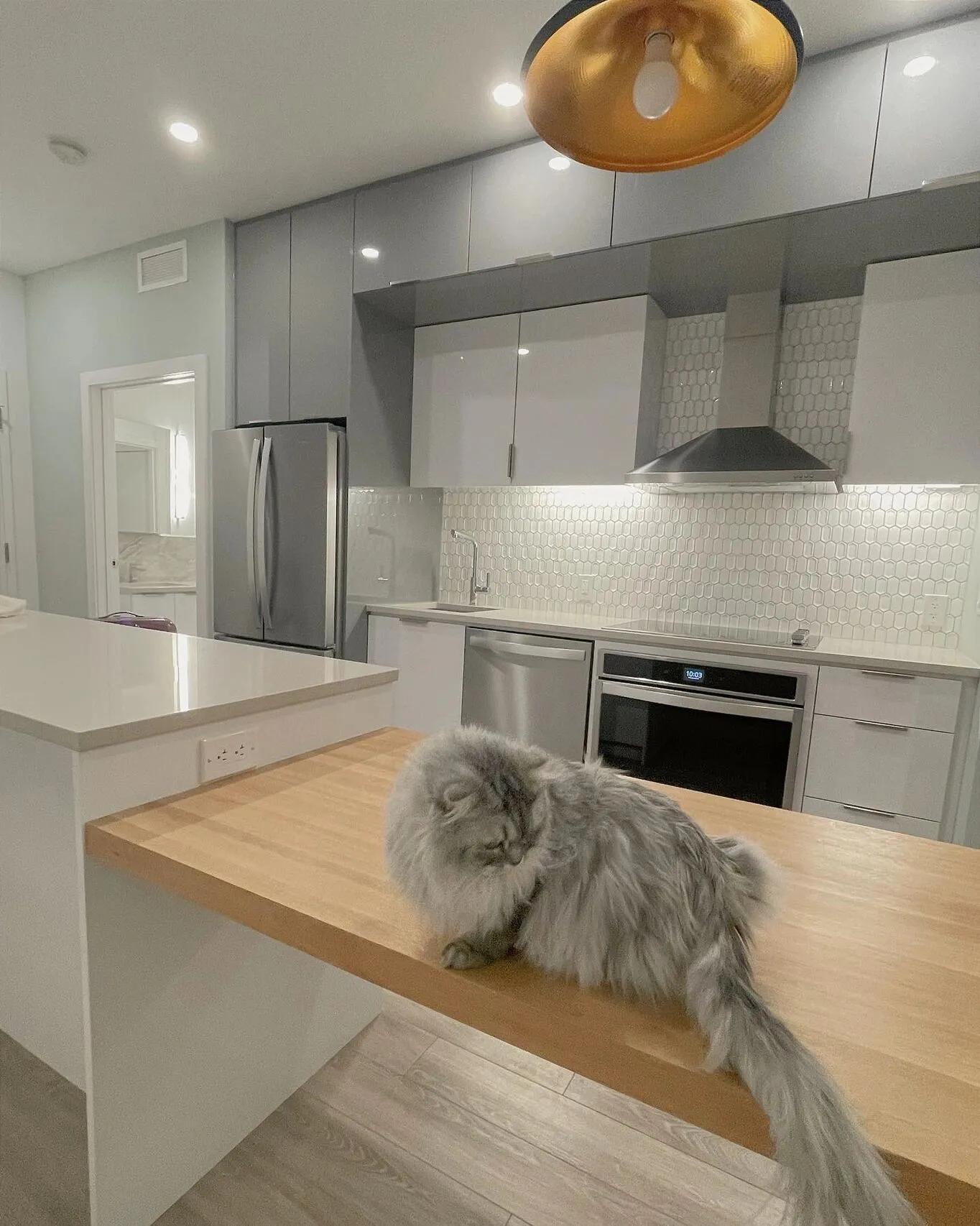 德国厨房锅具推荐,日本高端厨房好物锅具白色