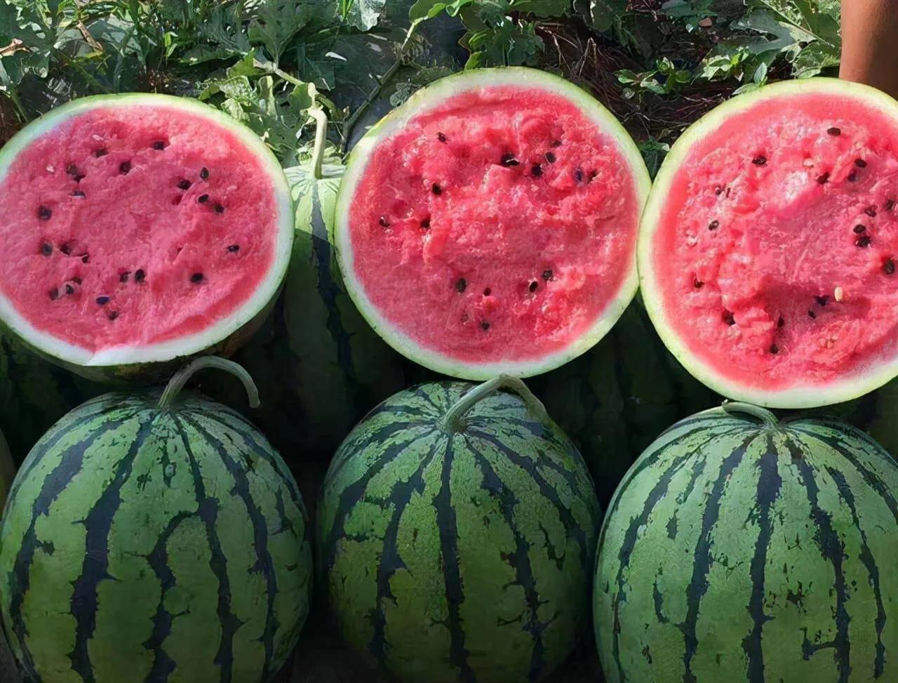 中国八个西瓜之乡,中国十大西瓜之乡名单