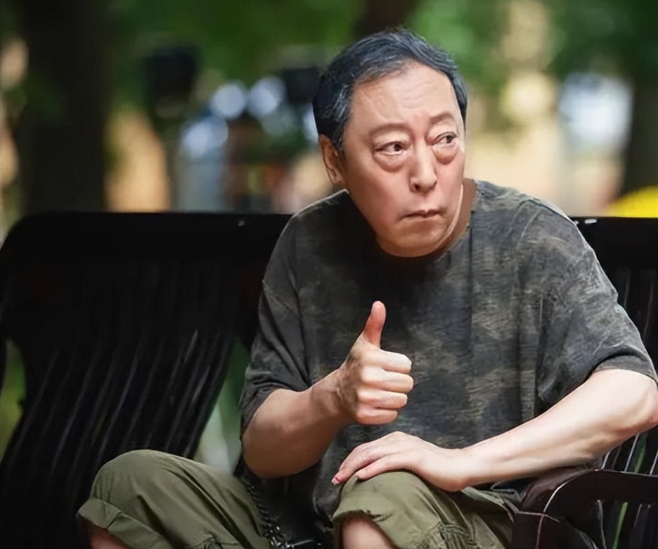 最具实力男演员靳东张嘉译,张嘉译靳东张译黄晓明光阴的故事