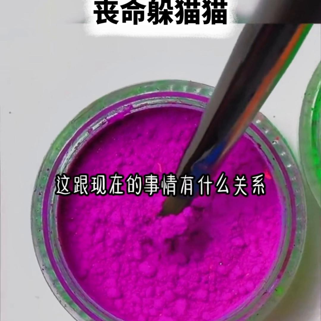 丧命*猫猫躲**@DOU+小助手