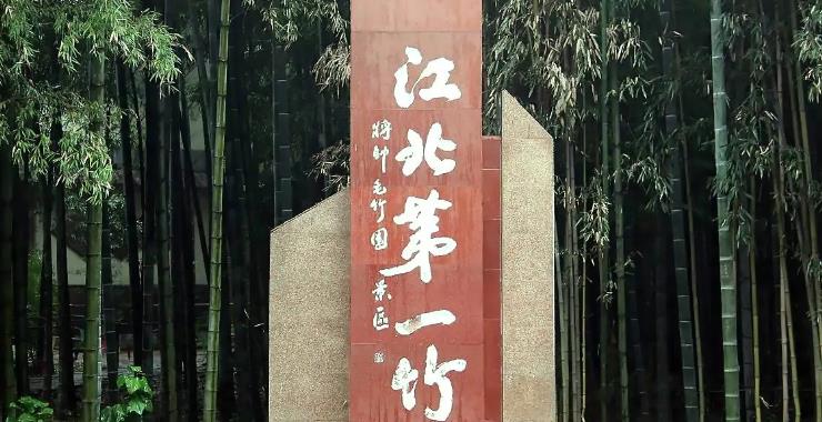 山东自驾游日照旅游攻略,中国沿海自驾游路线图日照到三亚