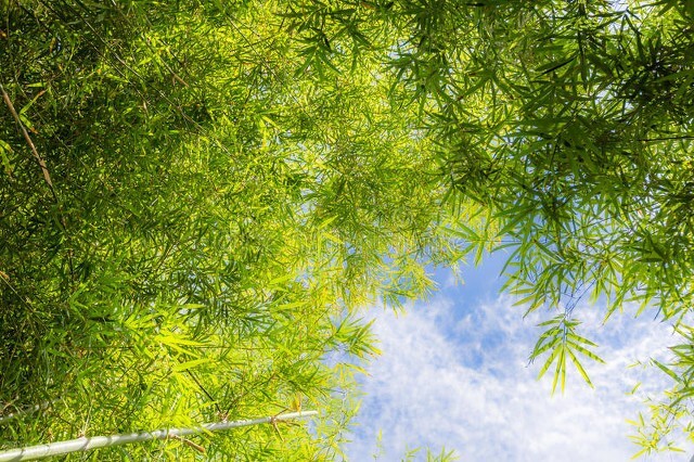 金钱名利都是过眼云烟看淡看轻,感悟人生一切看淡即可释然