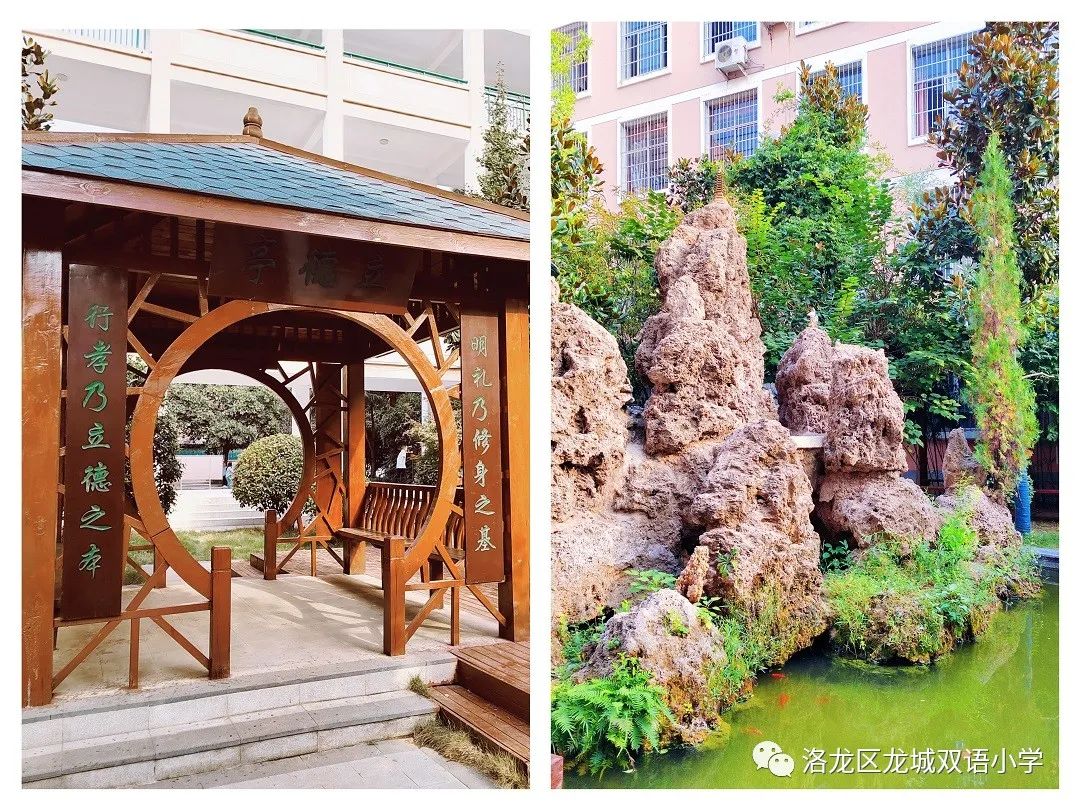 瀹堟姢缇庝附鏍″洯,瀹堟姢鏍″洯骞冲畨闈欏緟瀛︾敓褰掓潵