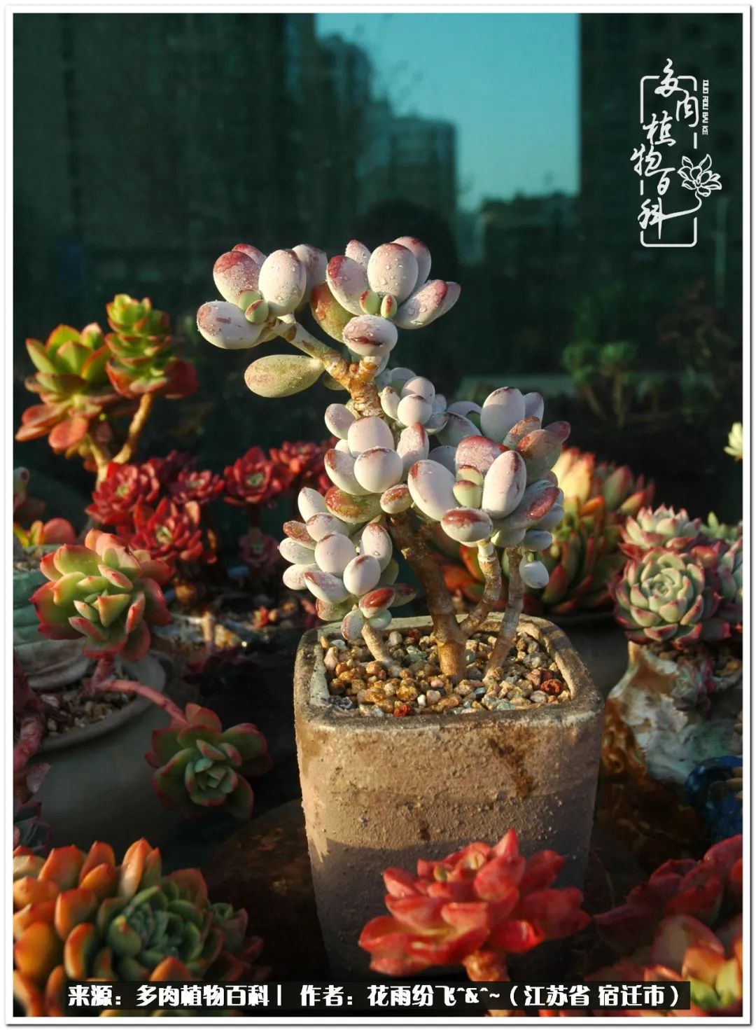 快乐的童年时光视频,回味快乐的童年美好的时光