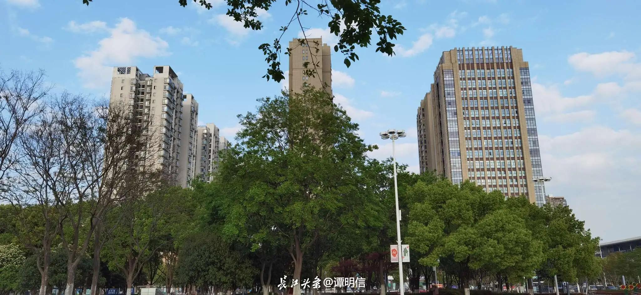 买基金最忌讳的一条,买基金犯什么错误