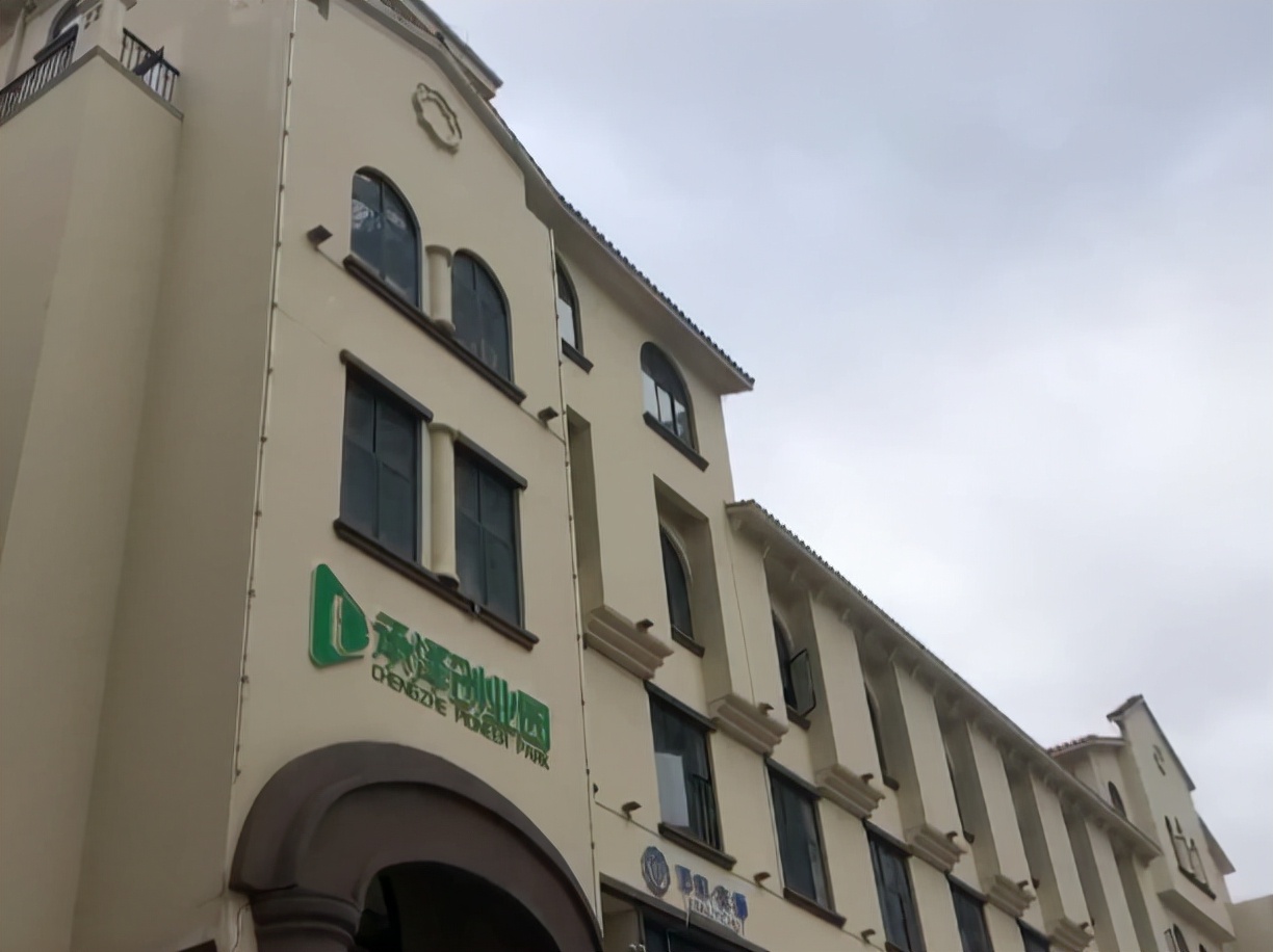 315翡翠打假视频完整版,315直播间的翡翠是真的吗